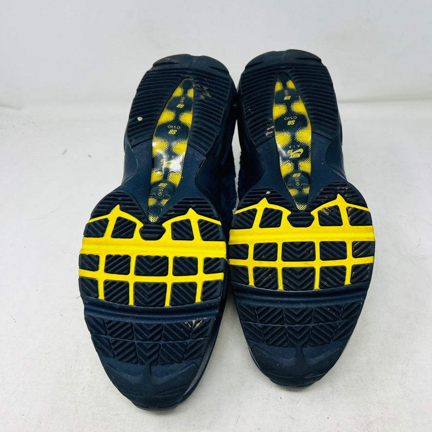Nike Air Max 95 SB Eric Koston Obsidian Speed Yellow