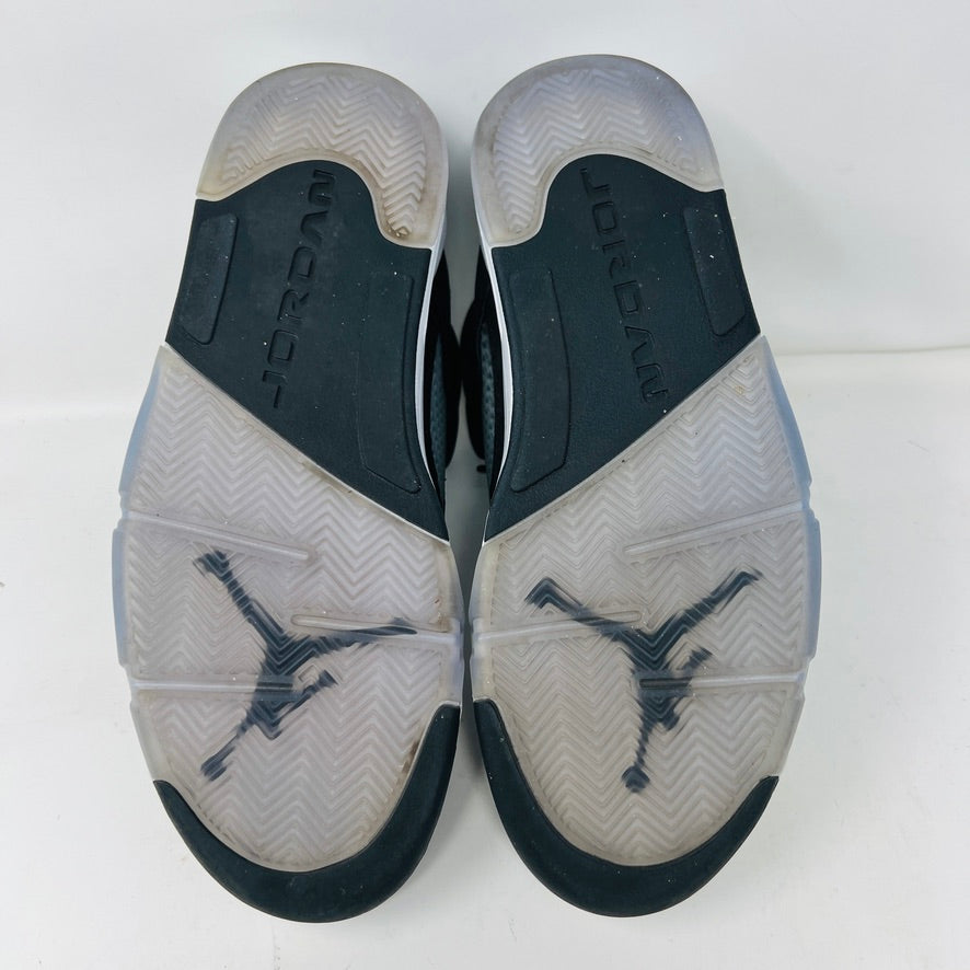 Jordan 5 Retro Moonlight (2021)