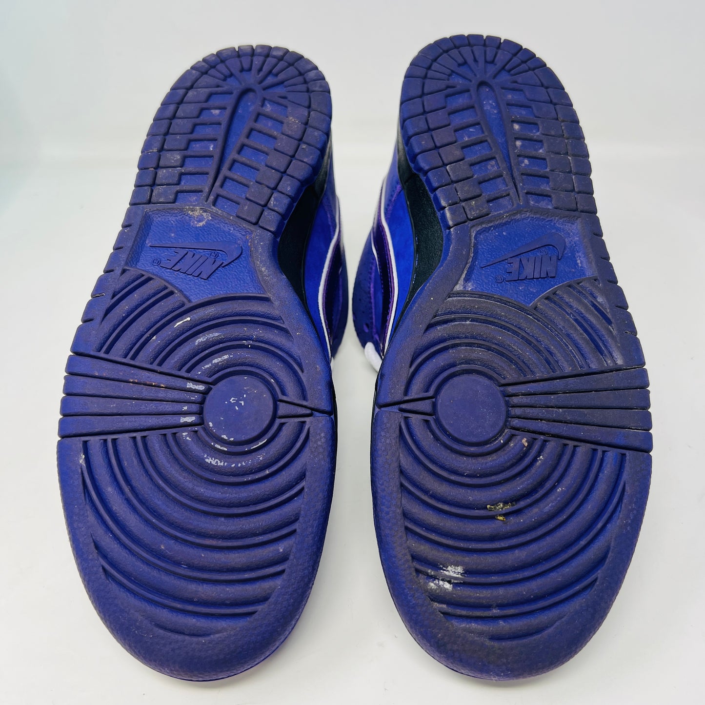 Nike SB Dunk Low Concepts Purple Lobster