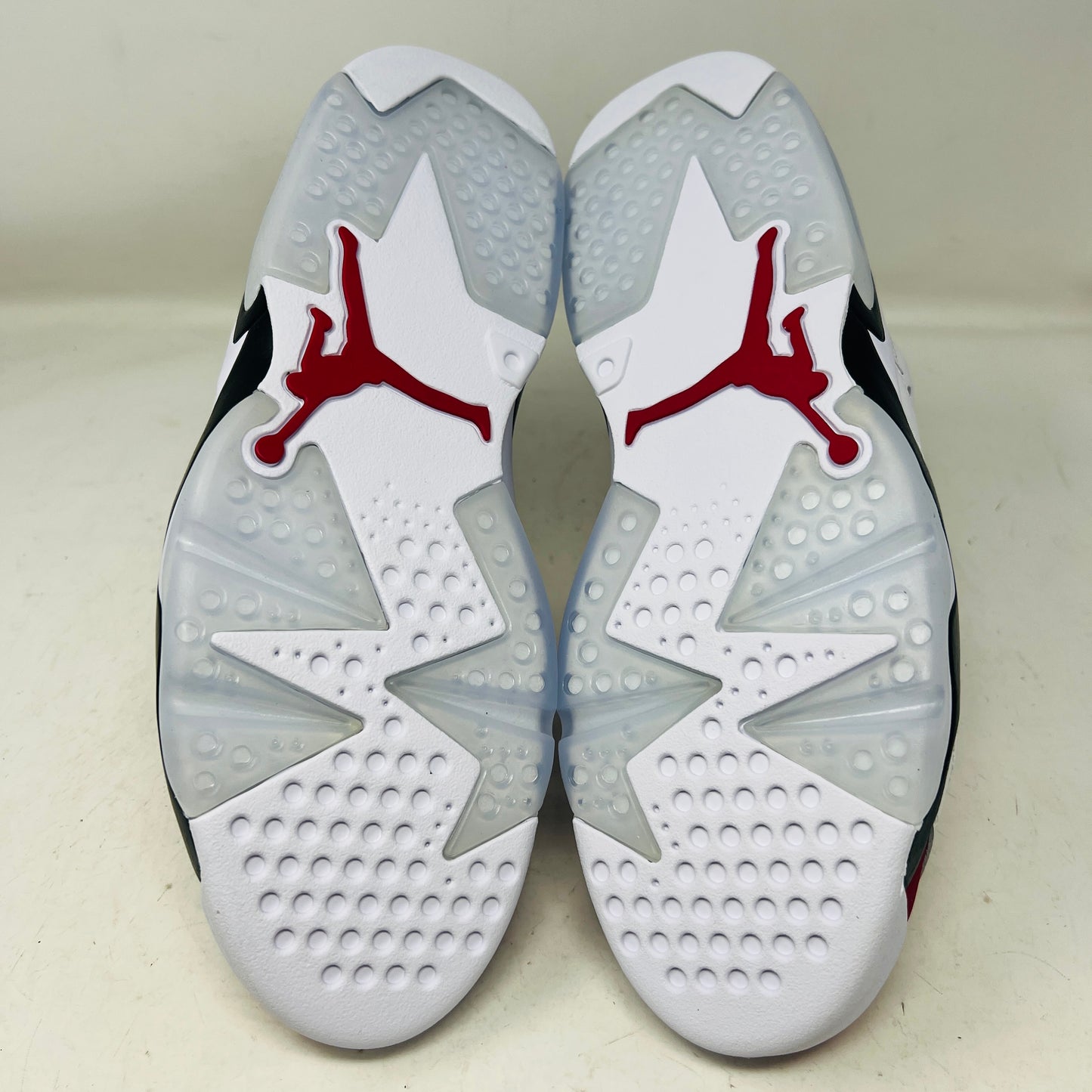 Jordan 6 Retro Carmine (2021)