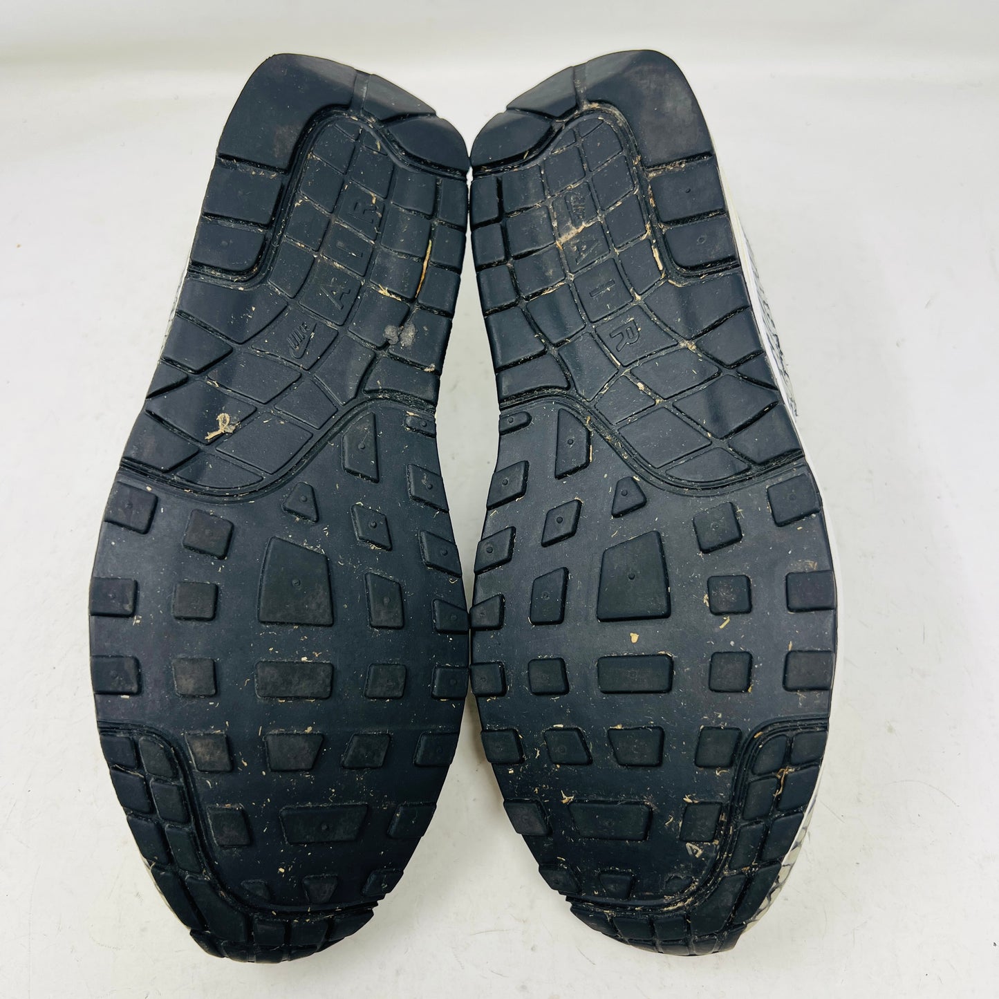 Nike Air Max 1 atmos Elephant (2007)