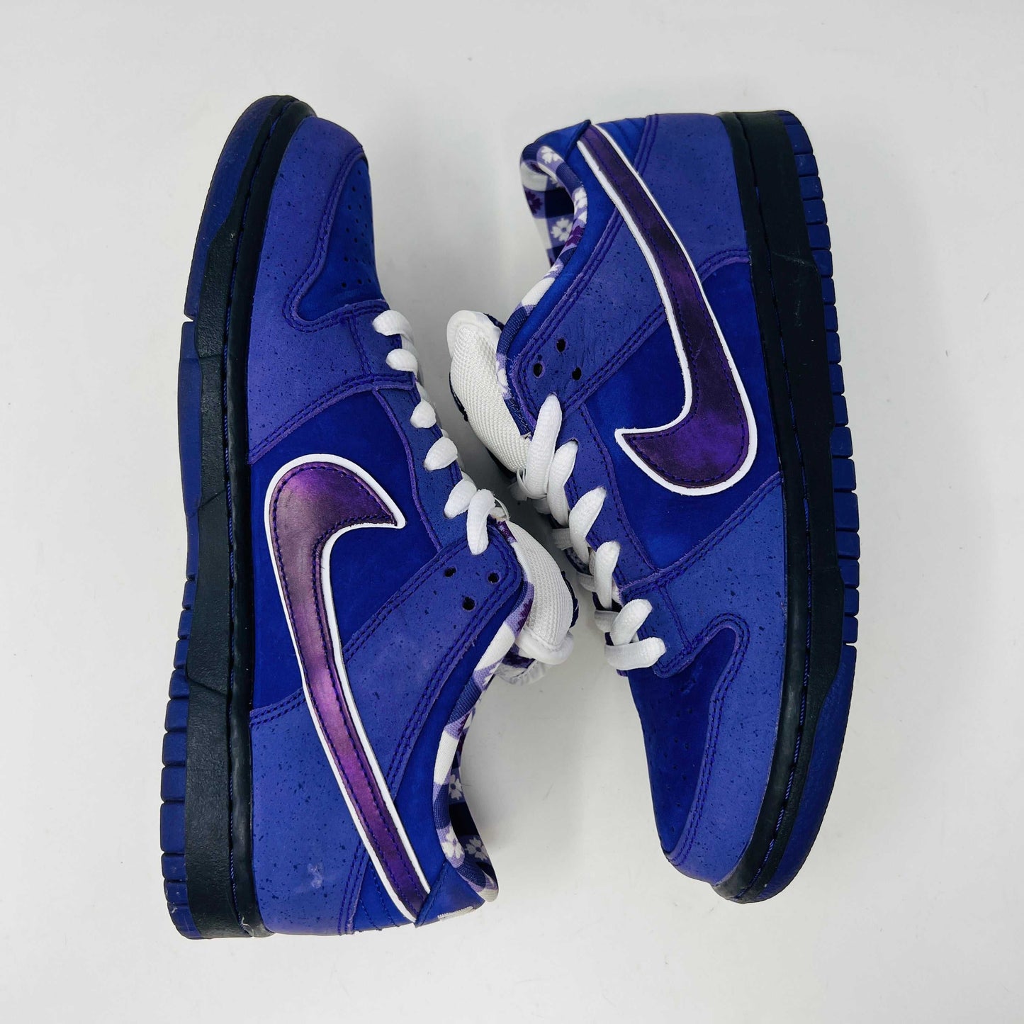 The Nike SB Dunk Low Concepts Purple Lobster sneaker, featuring a clean upper with a white swoosh, rests on a blue and white Nike SB shoebox. An extra bag with pink laces adds a vibrant touch in front of the box.