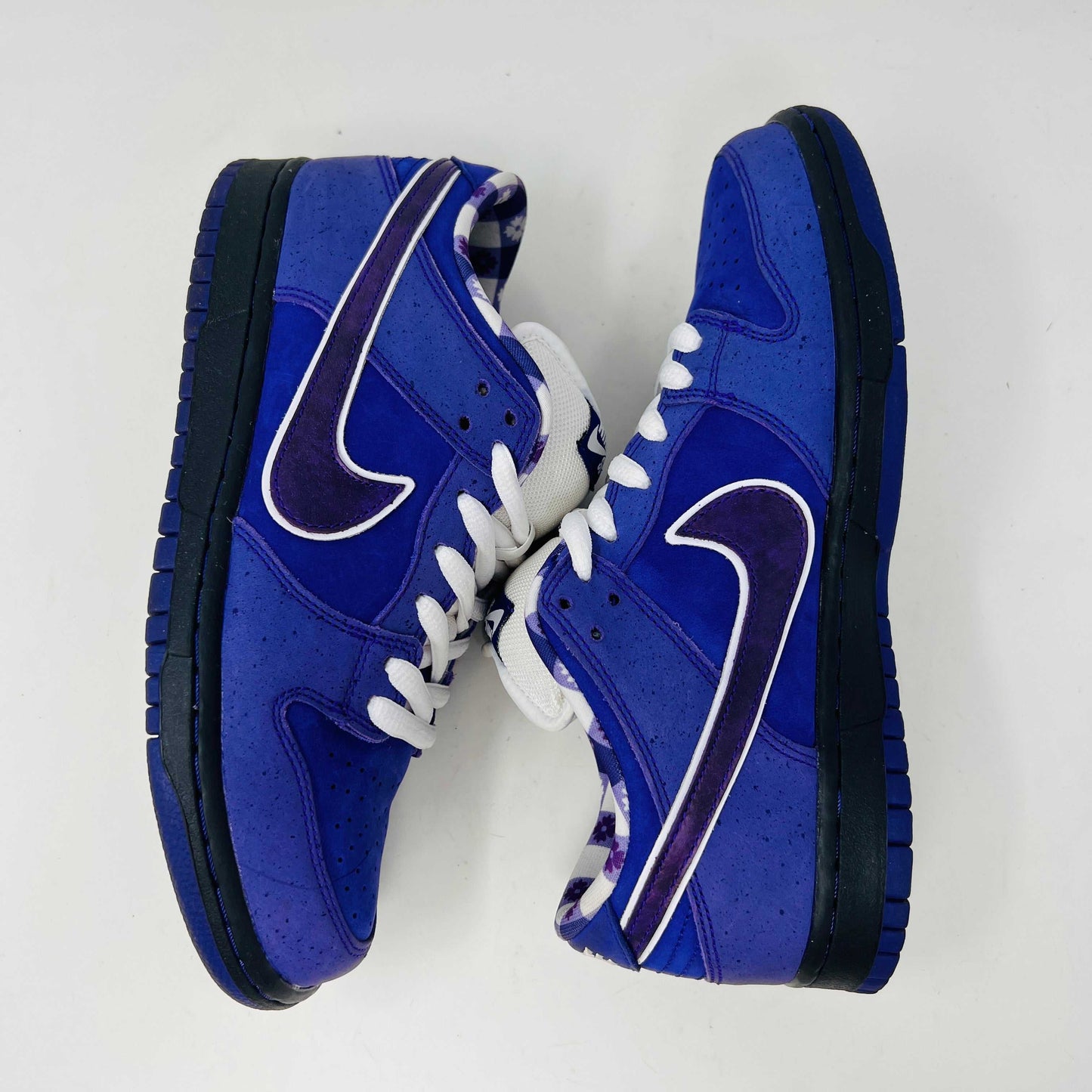 The Nike SB Dunk Low Concepts Purple Lobster sneaker, featuring a clean upper with a white swoosh, rests on a blue and white Nike SB shoebox. An extra bag with pink laces adds a vibrant touch in front of the box.