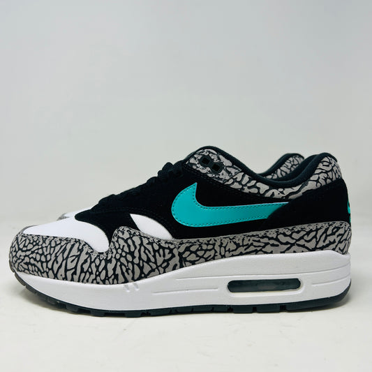 Nike Air Max 1 atmos x Jordan