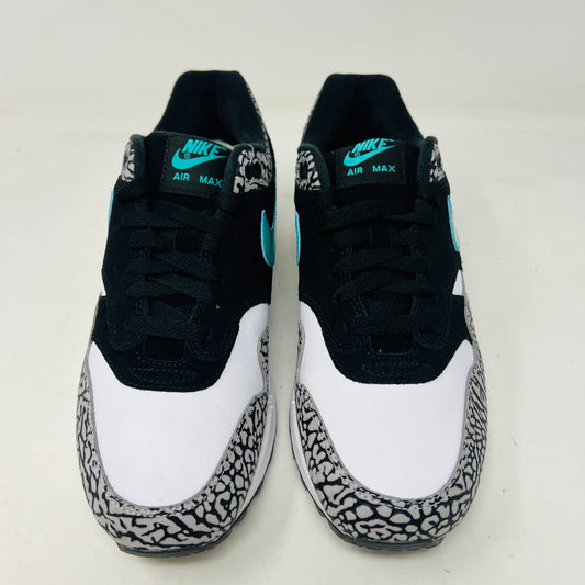 Nike Air Max 1 atmos x Jordan