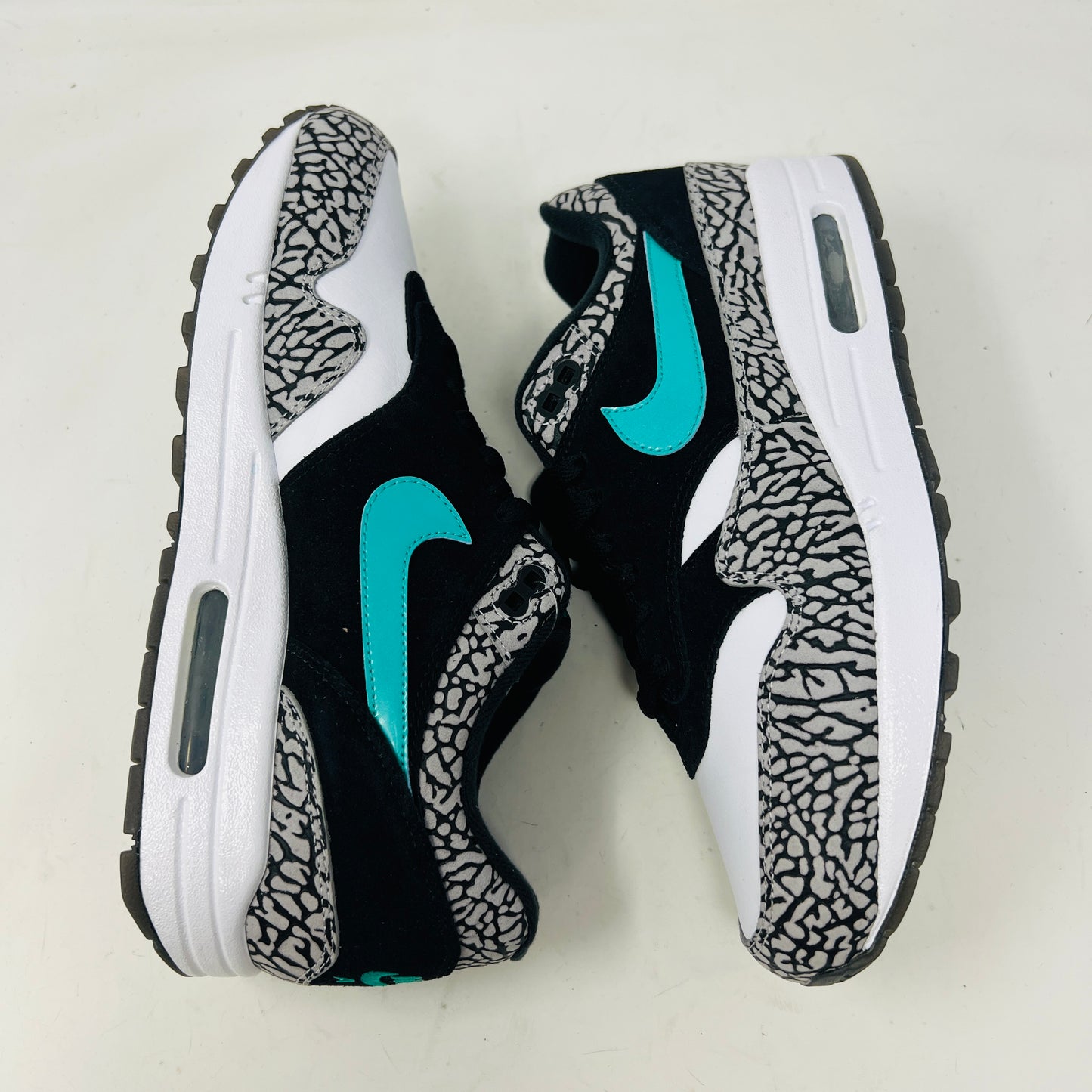 Nike Air Max 1 atmos x Jordan
