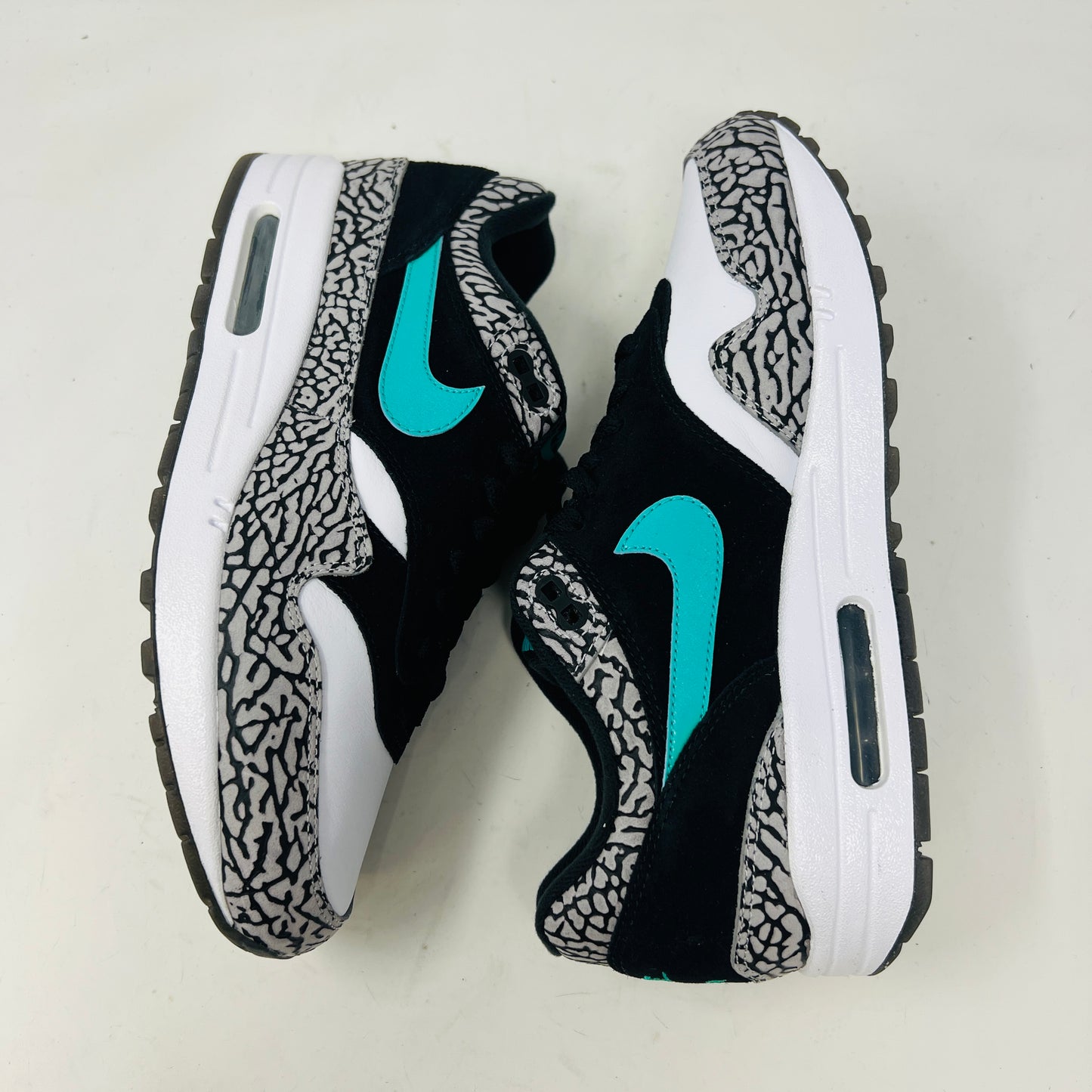 Nike Air Max 1 atmos x Jordan