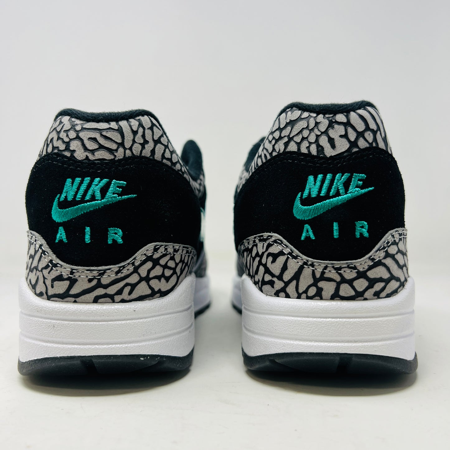 Nike Air Max 1 atmos x Jordan