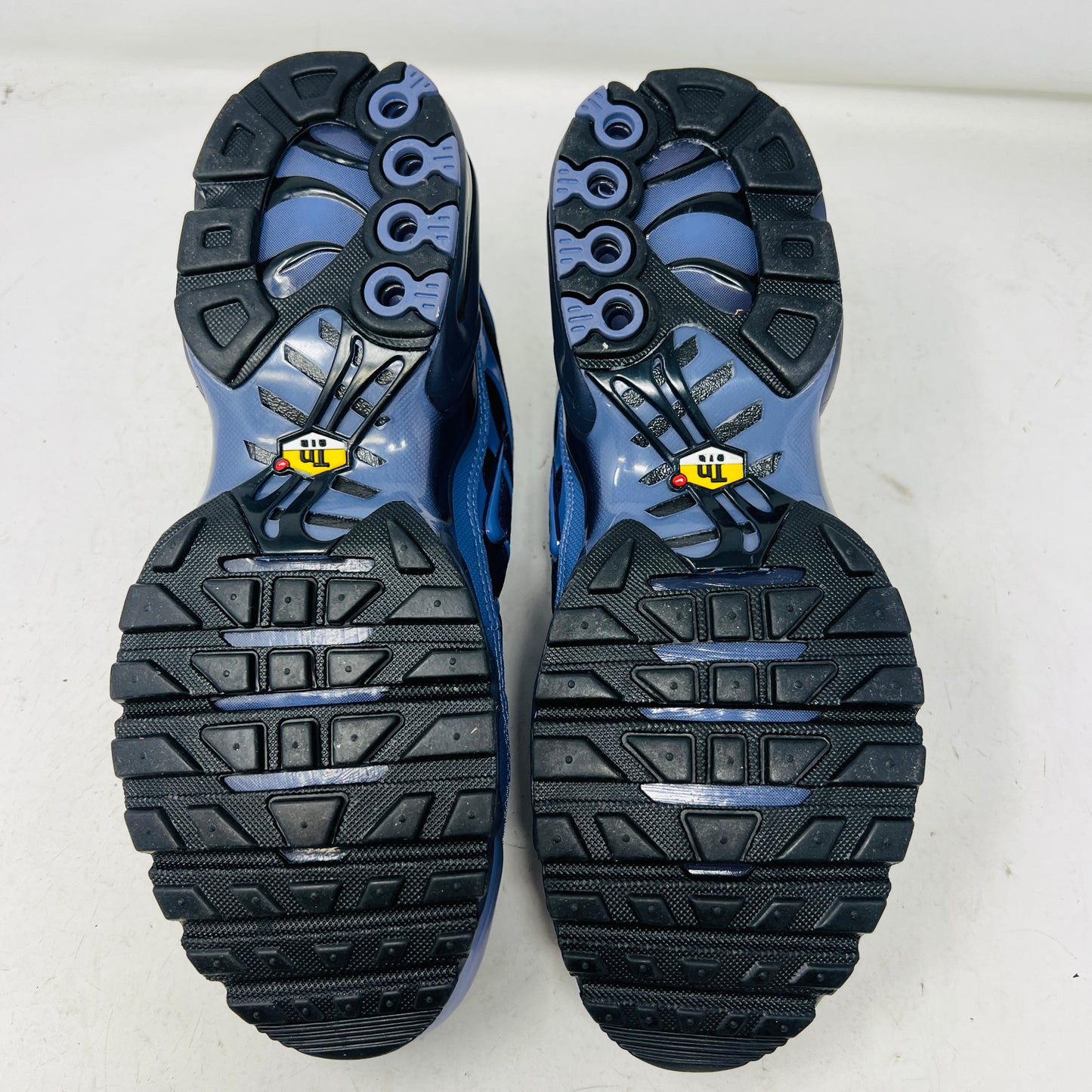 Nike Air Max Plus World Indigo