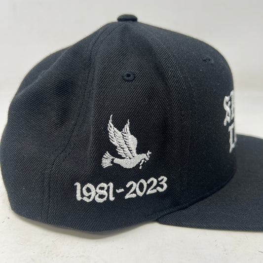 BORN X RAISED SPANTO LIVES SNAPBACK