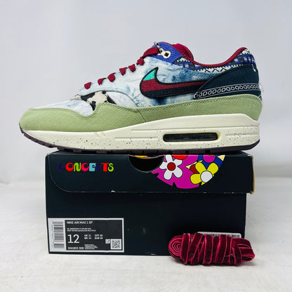 Nike Air Max 1 SP Concepts Mellow