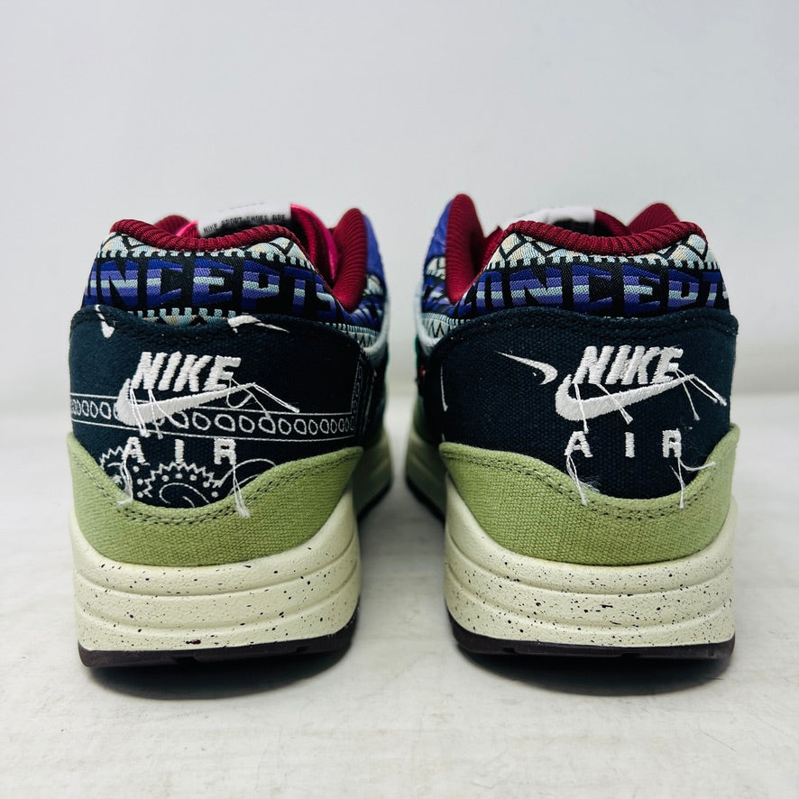 Nike Air Max 1 SP Concepts Mellow