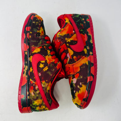 Nike SB Dunk Low The Wizard of Oz Poppy Field