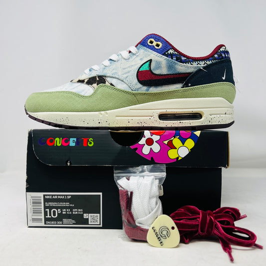 Nike Air Max 1 SP Concepts Mellow