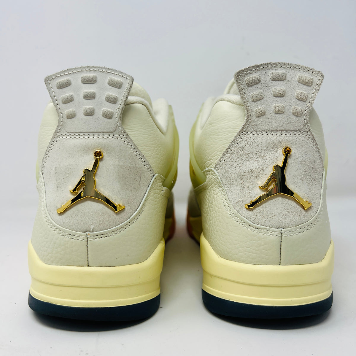 Jordan 4 Retro Birds of Paradise (Women's)