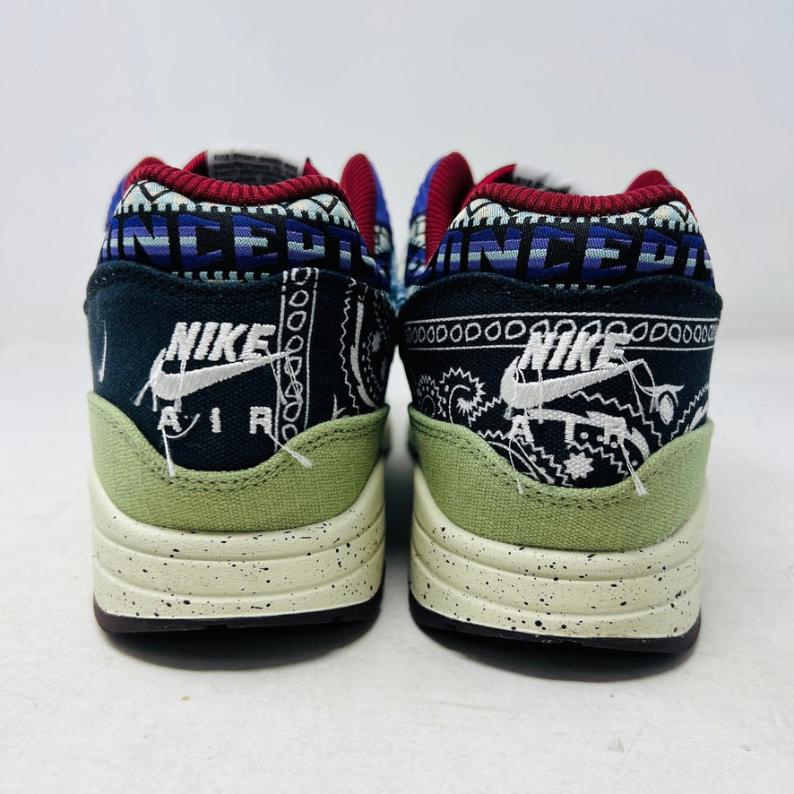 Nike Air Max 1 SP Concepts Mellow