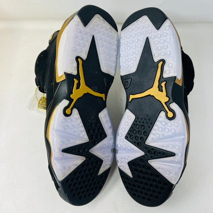 Jordan 6 Retro DMP (2020)
