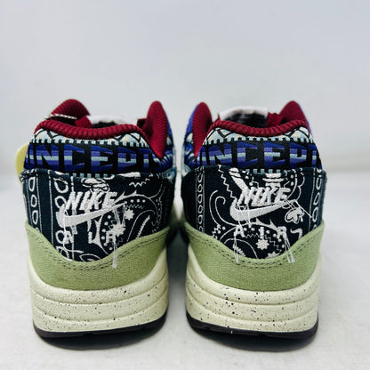 Nike Air Max 1 SP Concepts Mellow