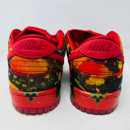 Nike SB Dunk Low The Wizard of Oz Poppy Field
