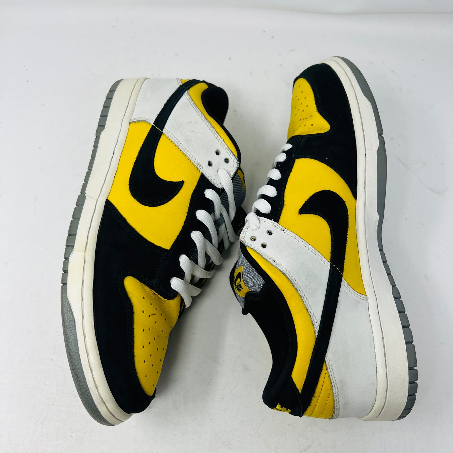 Nike SB Dunk Low Bic