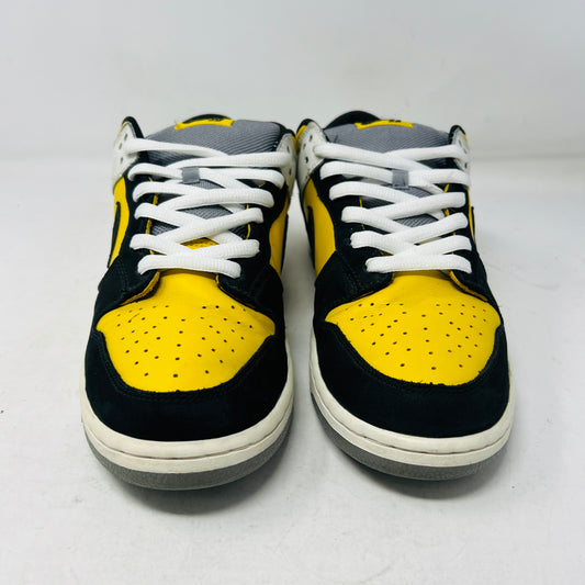 Nike SB Dunk Low Bic