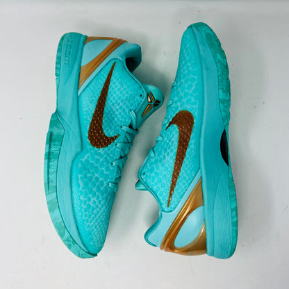 Nike Kobe 6 Protro Jalen Brunson Statue of Liberty