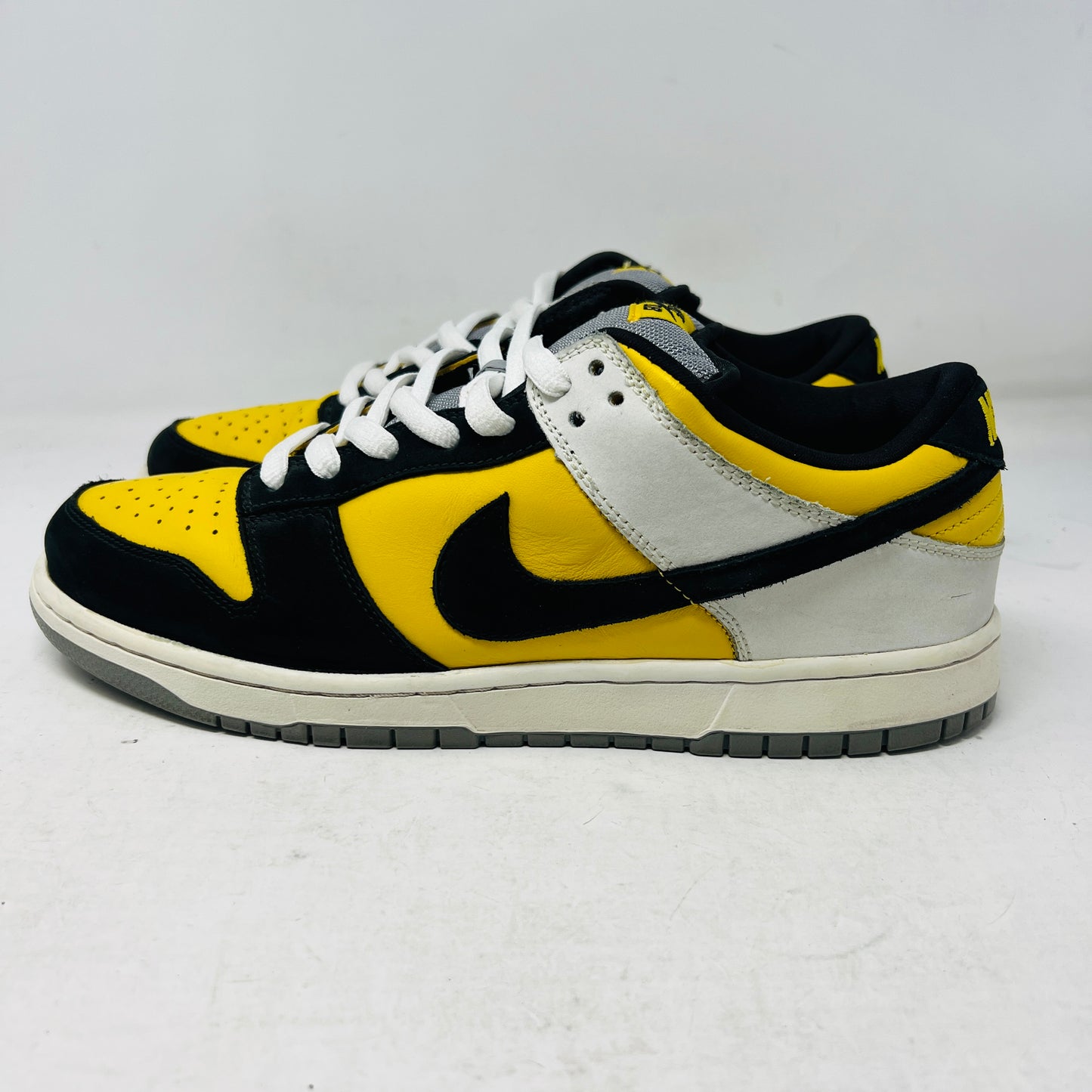 Nike SB Dunk Low Bic