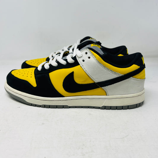 Nike SB Dunk Low Bic