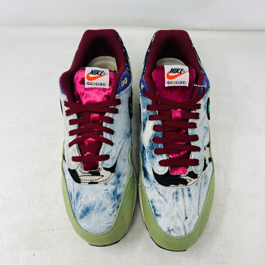 Nike Air Max 1 SP Concepts Mellow