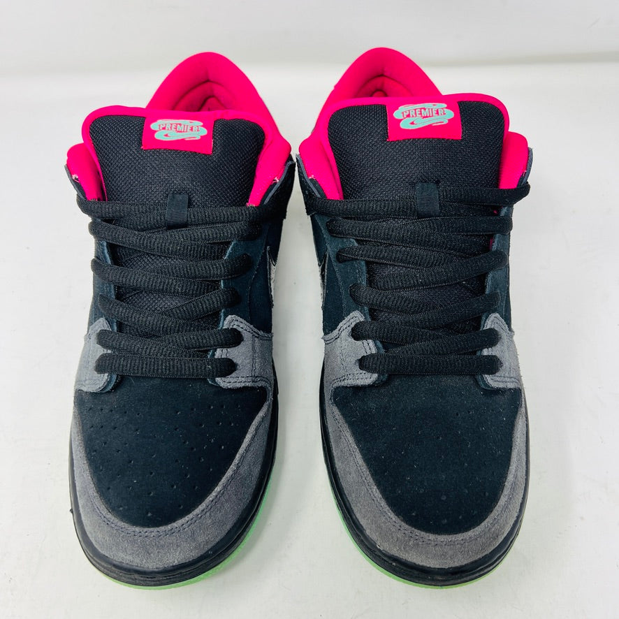 Nike SB Dunk Low Premier Northern Lights
