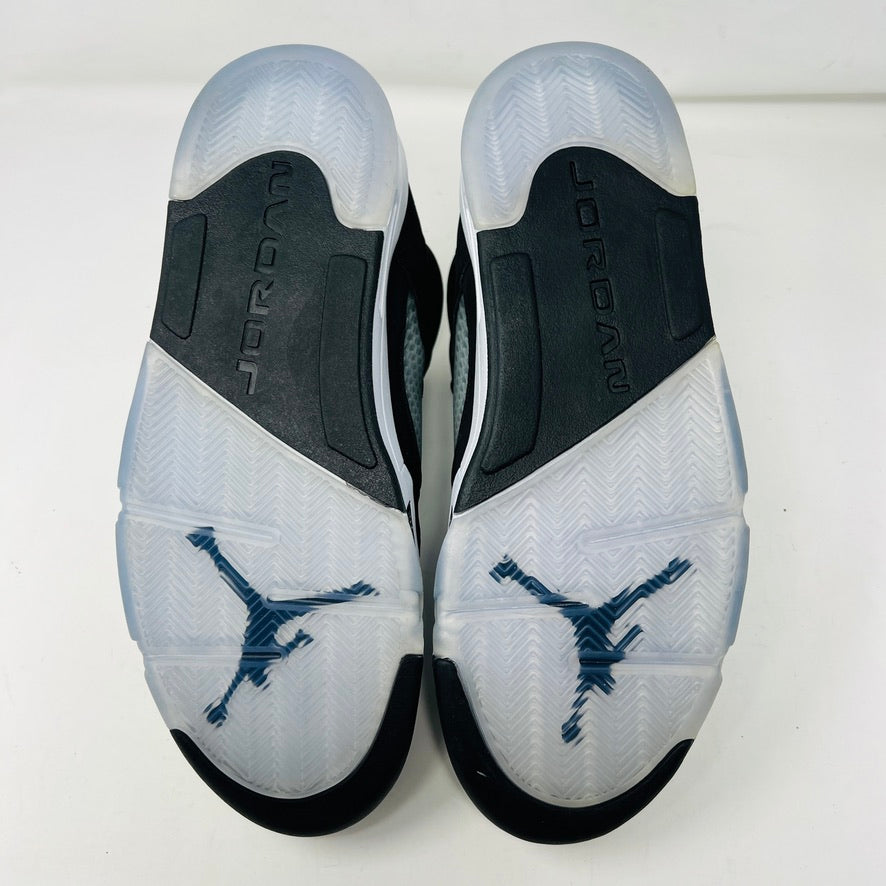 Jordan 5 Retro Moonlight (2021)