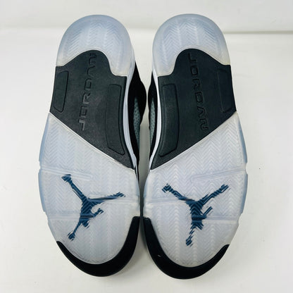 Jordan 5 Retro Moonlight (2021)