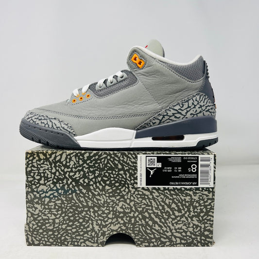 Jordan 3 Retro Cool Grey (2021)