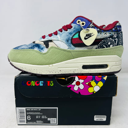 Nike Air Max 1 SP Concepts Mellow
