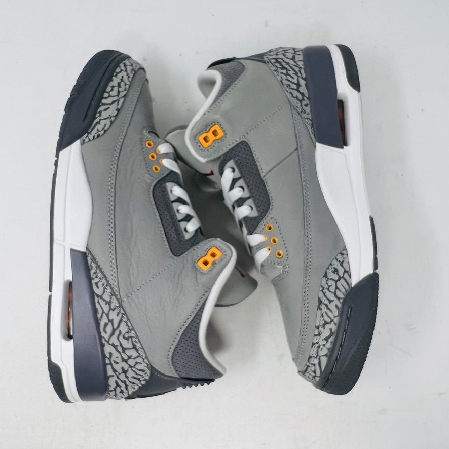 Jordan 3 Retro Cool Grey (2021)