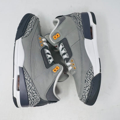 Jordan 3 Retro Cool Grey (2021)