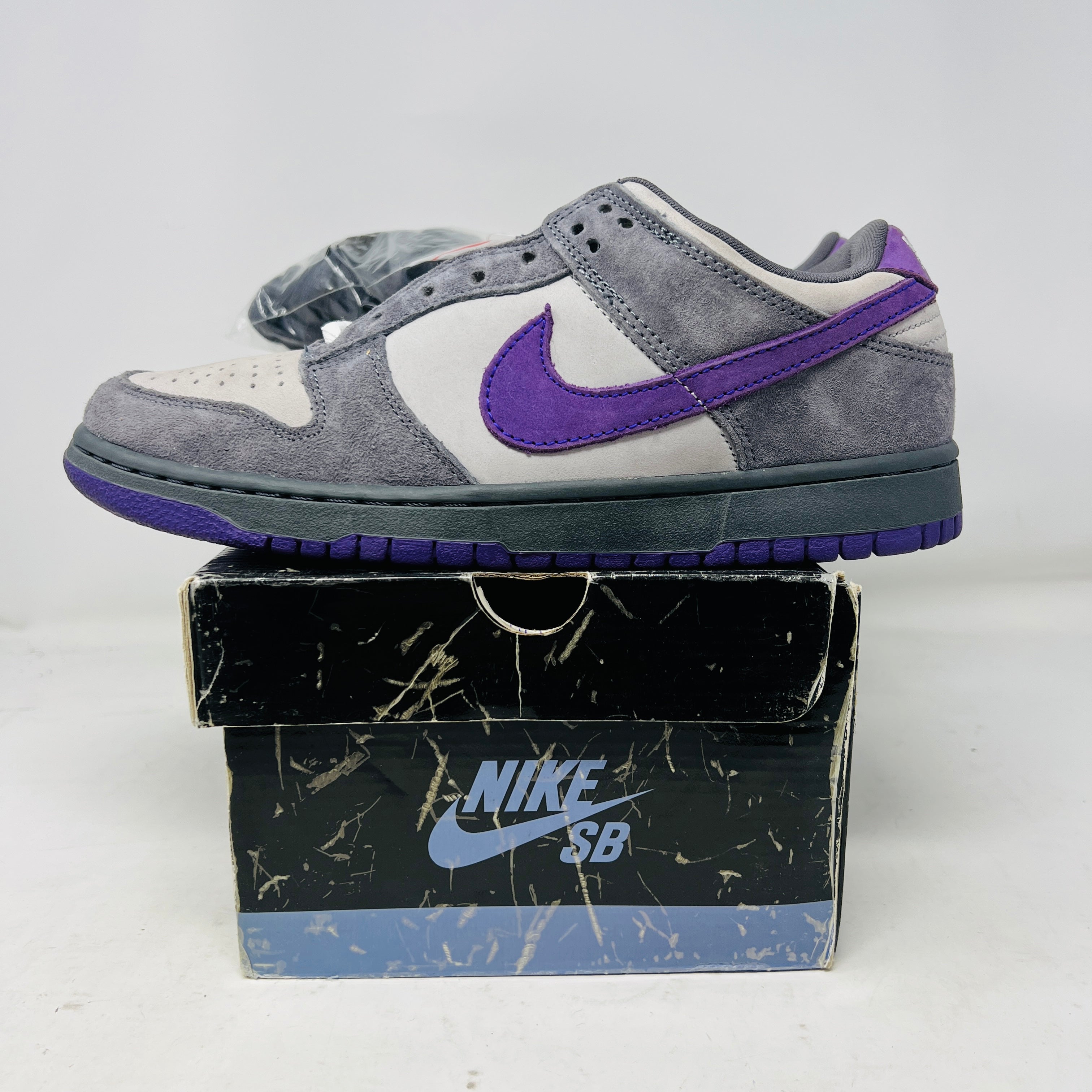 purple pigeon sb
