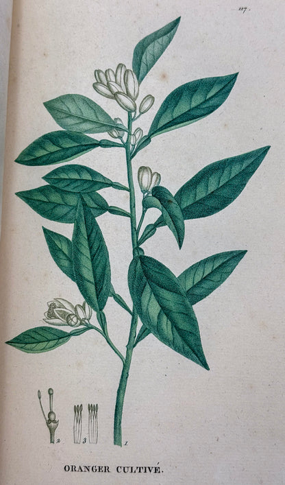 Nike SB Dunk Low Grit Team Red