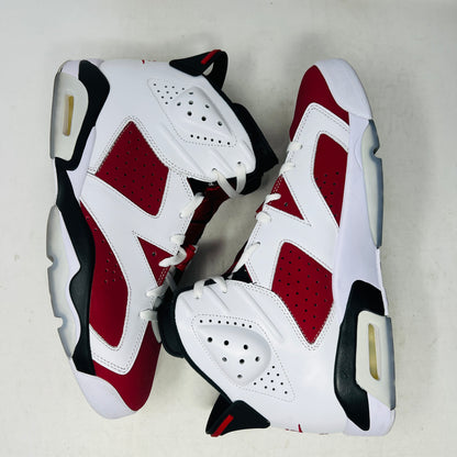 Jordan 6 Retro Carmine (2021)