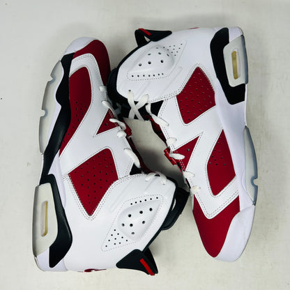 Jordan 6 Retro Carmine (2021)