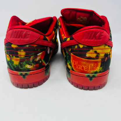 Nike SB Dunk Low The Wizard of Oz Poppy Field