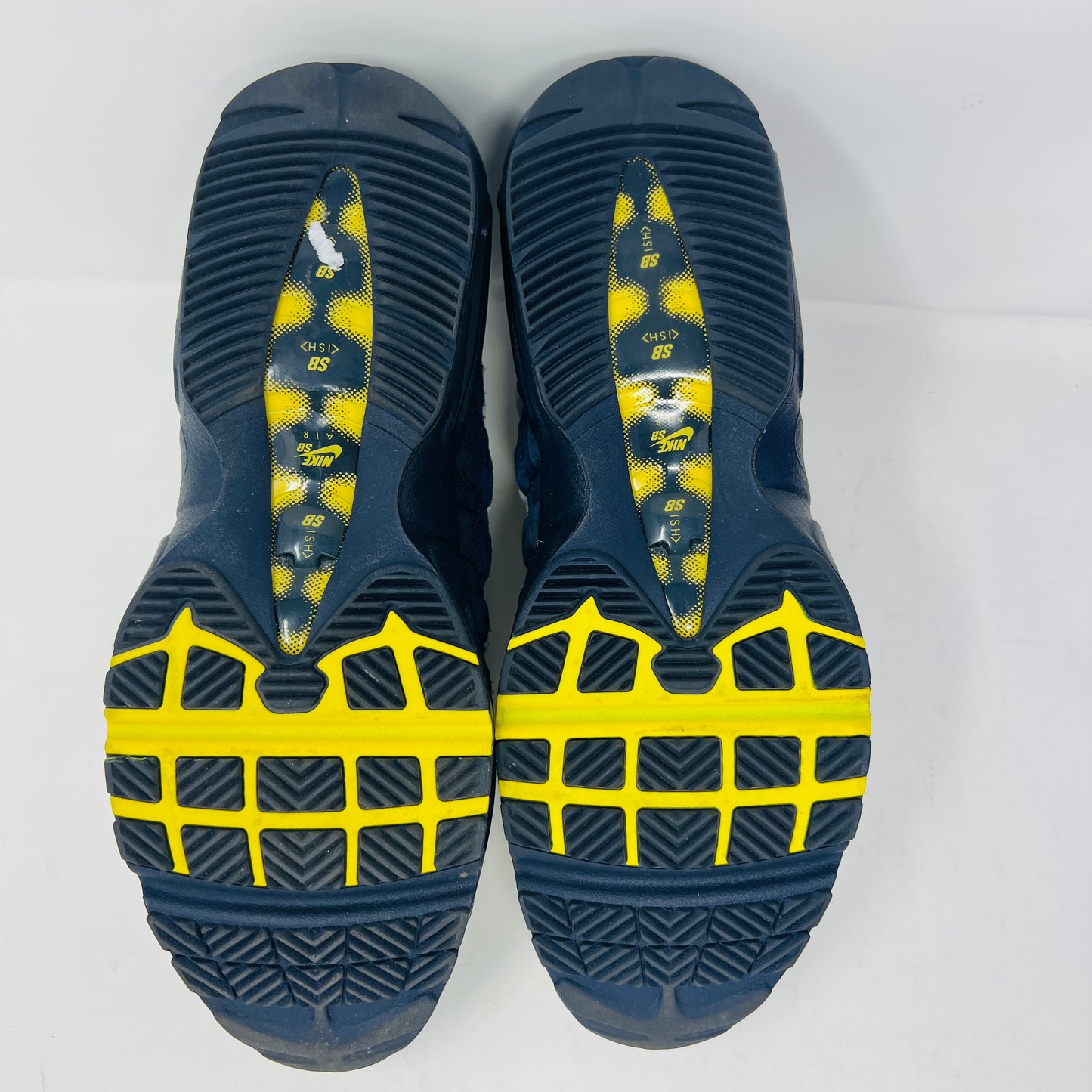 Nike Air Max 95 SB Eric Koston Obsidian Speed Yellow