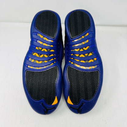 Jordan 12 Retro Field Purple