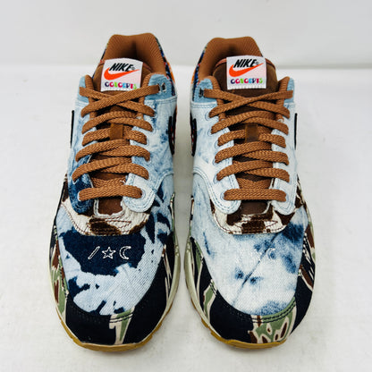 Nike Air Max 1 SP Concepts Heavy