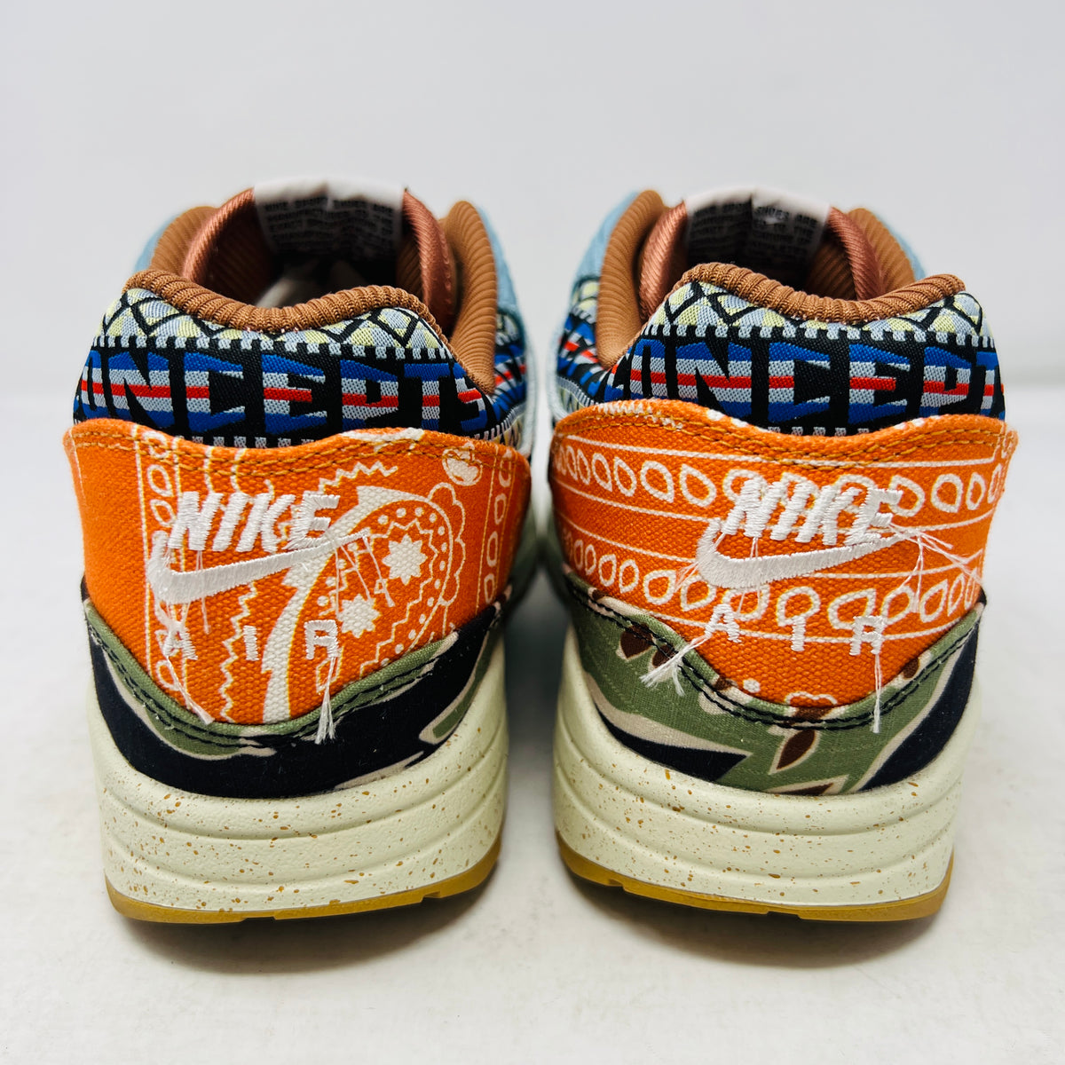 Nike Air Max 1 SP Concepts Heavy