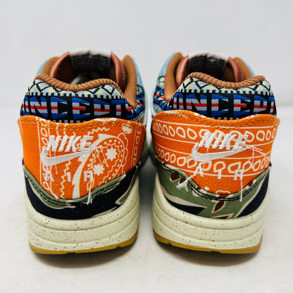 Nike Air Max 1 SP Concepts Heavy