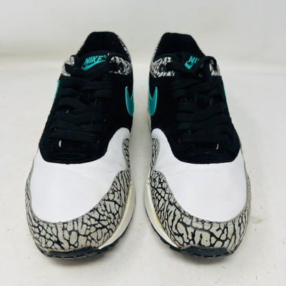 Nike Air Max 1 atmos Elephant (2007)