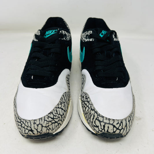 Nike Air Max 1 atmos Elephant (2007)