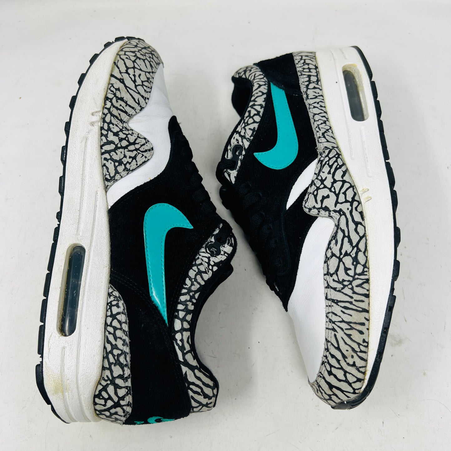 Nike Air Max 1 atmos Elephant (2007)