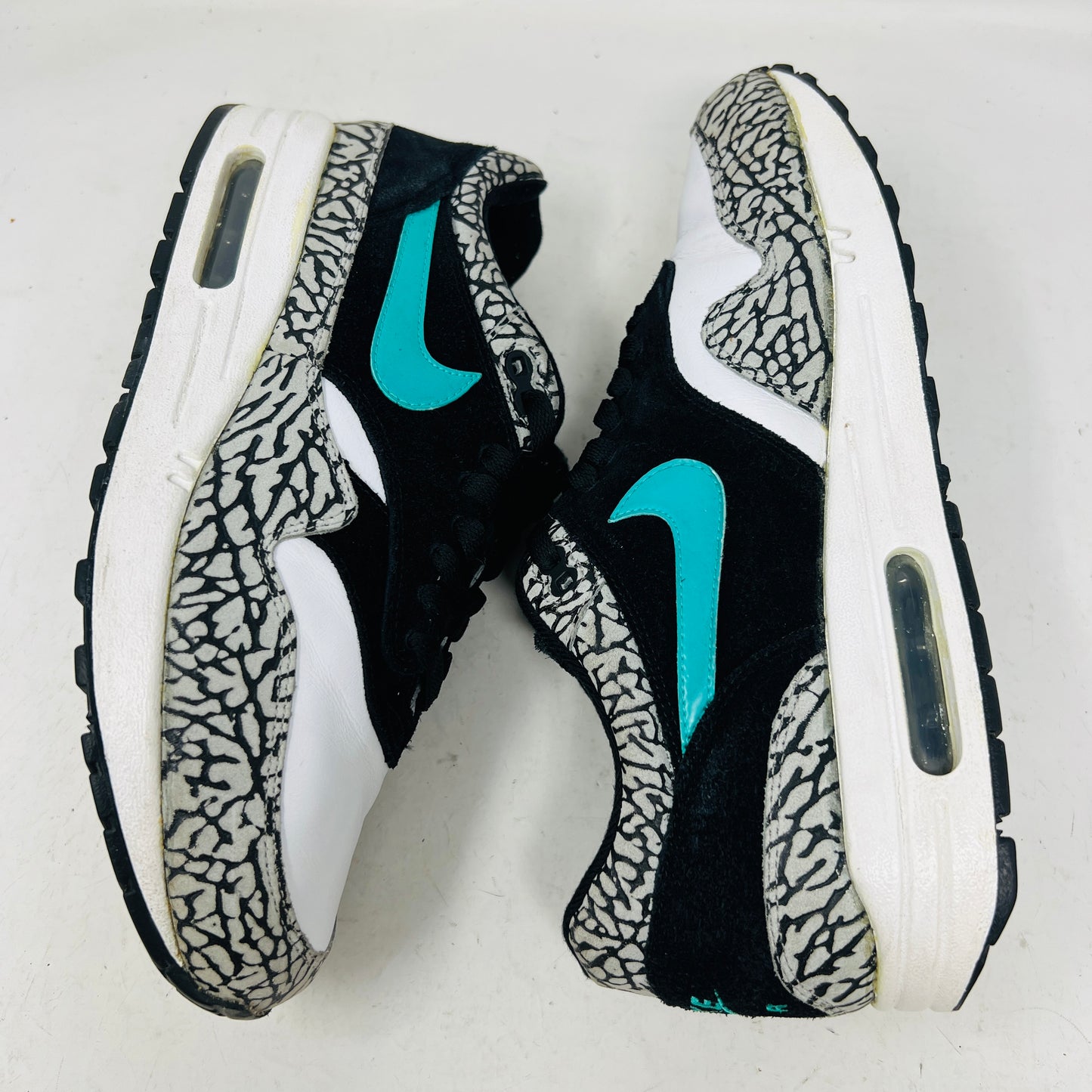 Nike Air Max 1 atmos Elephant (2007)